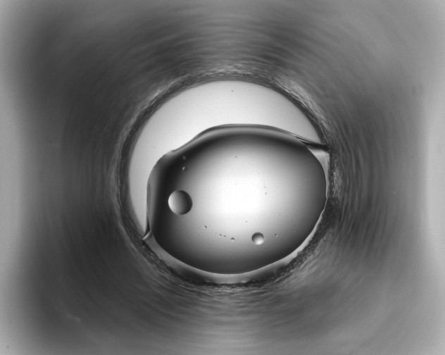 X0000095130444200712211333