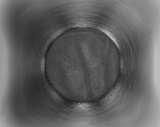 X0000095130445200712211333