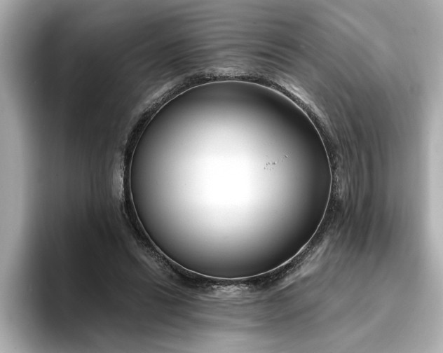 X0000095130446200712211333