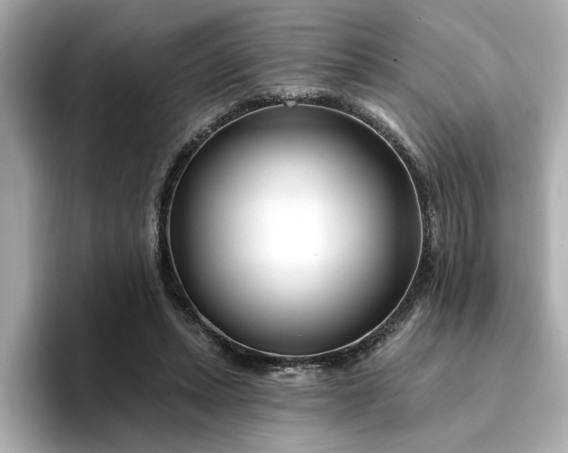 X0000095130447200712211333