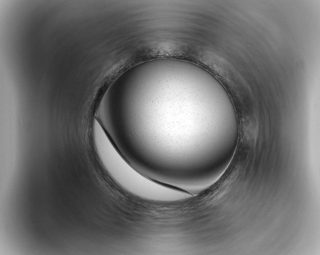 X0000095130450200712211333