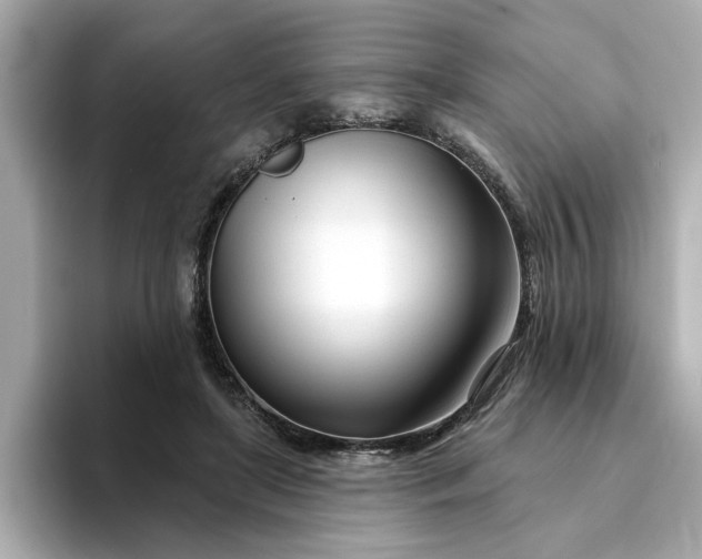 X0000095130451200712211333