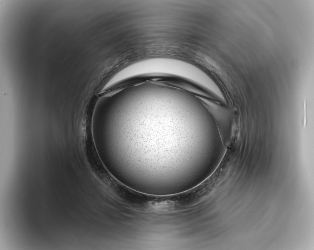 X0000095130452200712211333