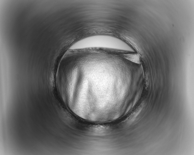 X0000095130453200712211333