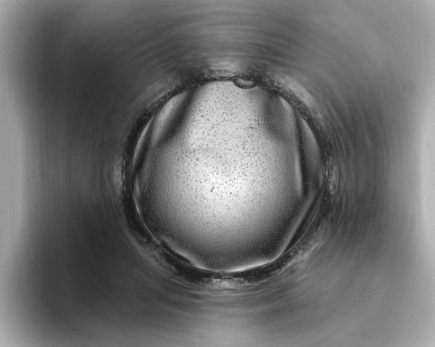 X0000095130455200712211333