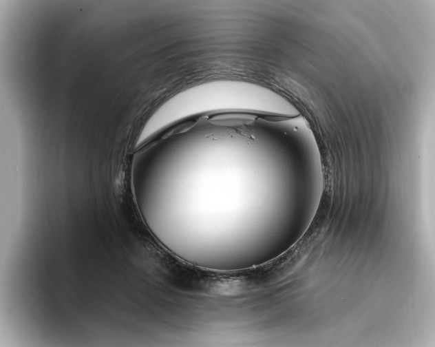 X0000095130456200712211333