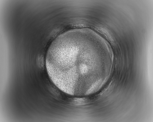 X0000095130457200712211333