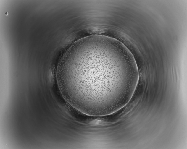 X0000095130460200712211333