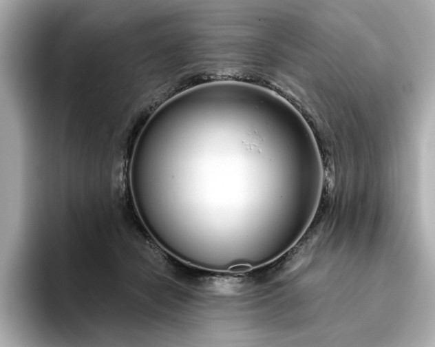 X0000095130462200712211333