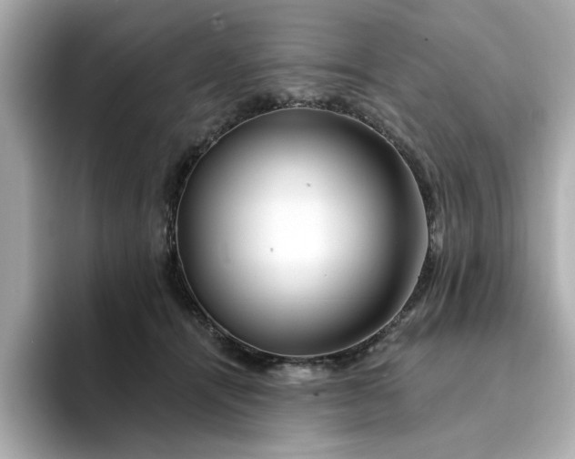 X0000095130464200712211333