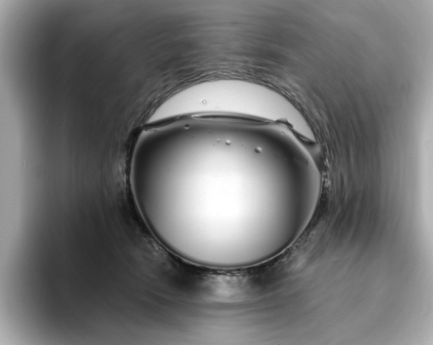 X0000095130466200712211333