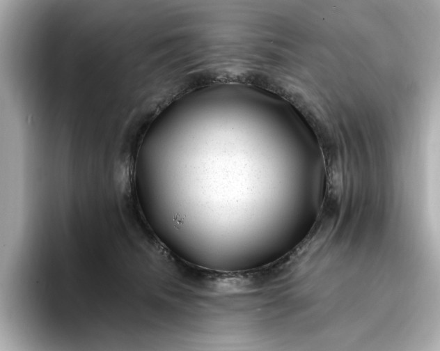 X0000095130468200712211333