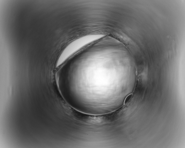 X0000095130469200712211333