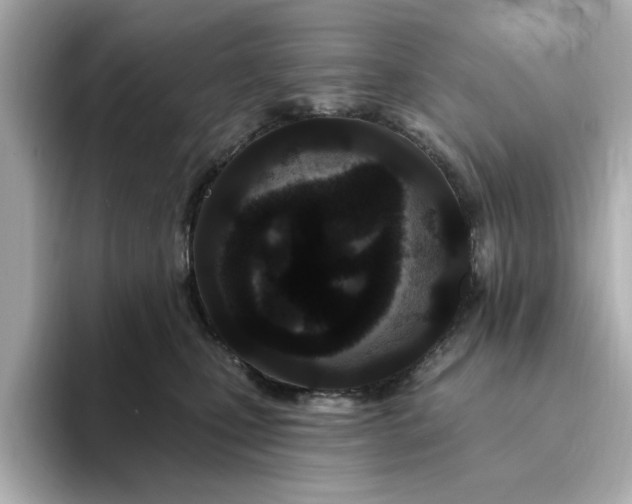 X0000095130471200712211333