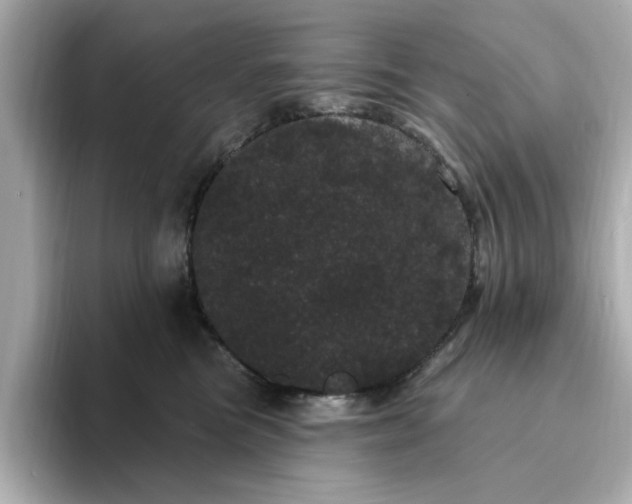 X0000095130473200712211333