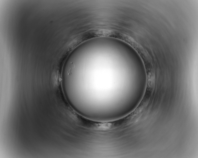 X0000095130474200712211333