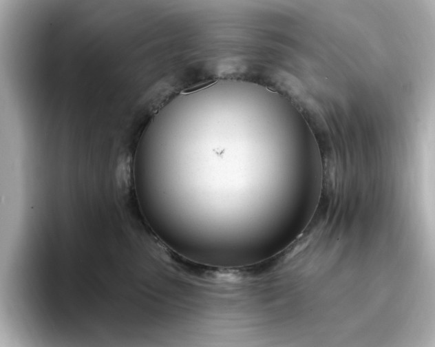 X0000095130475200712211333