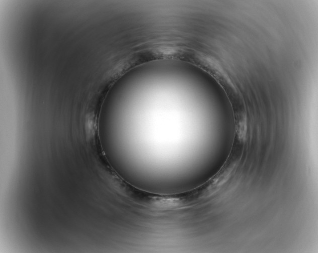 X0000095130476200712211333