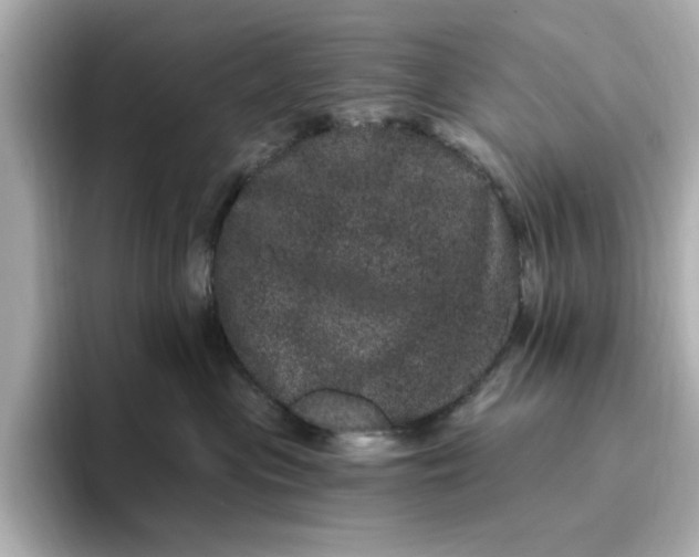 X0000095130477200712211333