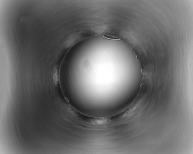 X0000095130479200712211333