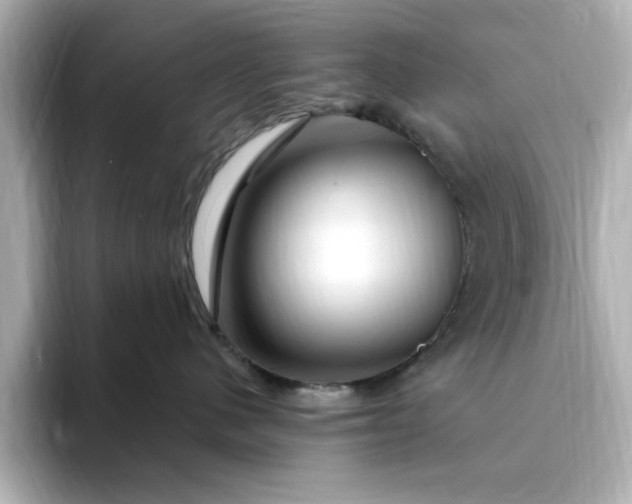 X0000095130480200712211333