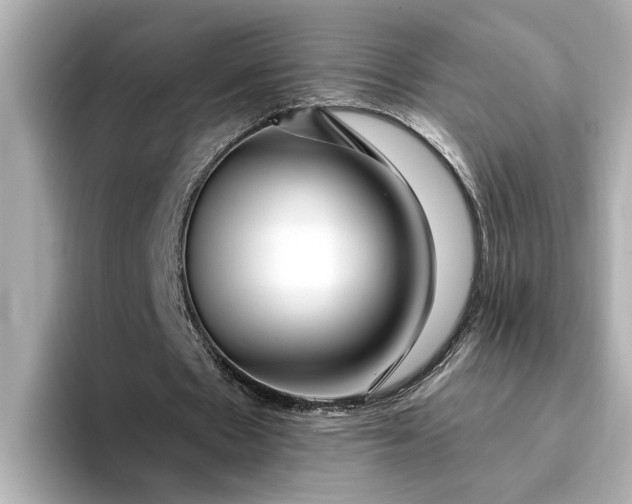 X0000095130481200712211333