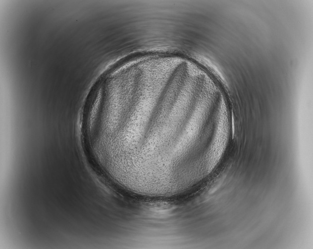 X0000095130483200712211333