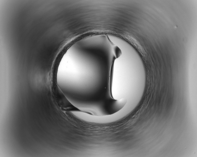 X0000095130484200712211333