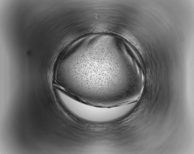 X0000095130485200712211333