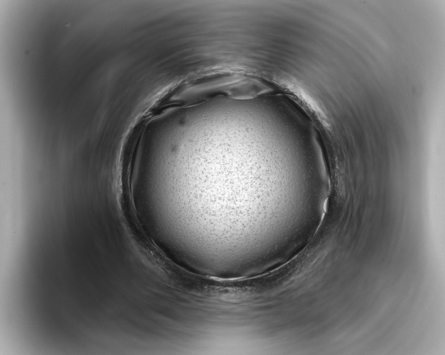 X0000095130486200712211333