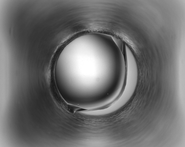 X0000095130488200712211333