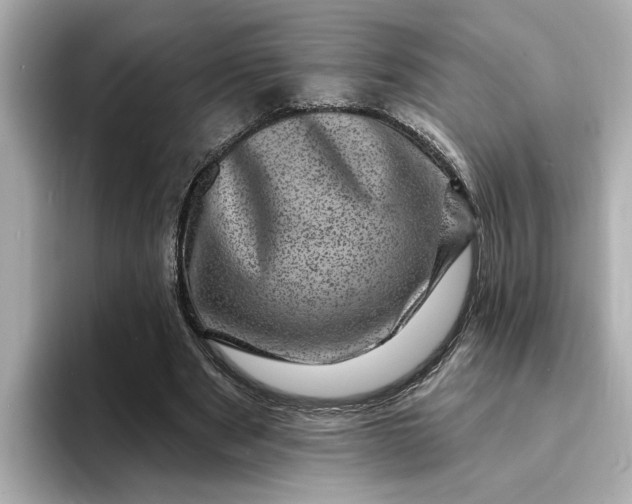 X0000095130489200712211333