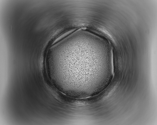 X0000095130490200712211333