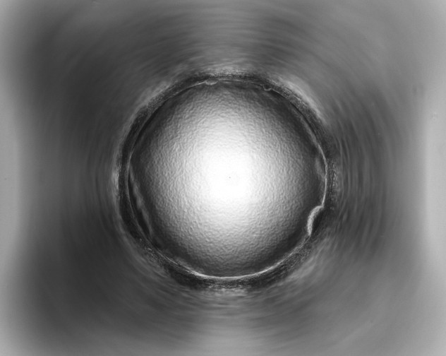 X0000095130491200712211333