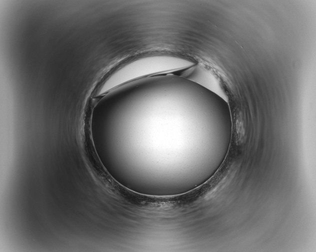 X0000095130492200712211333