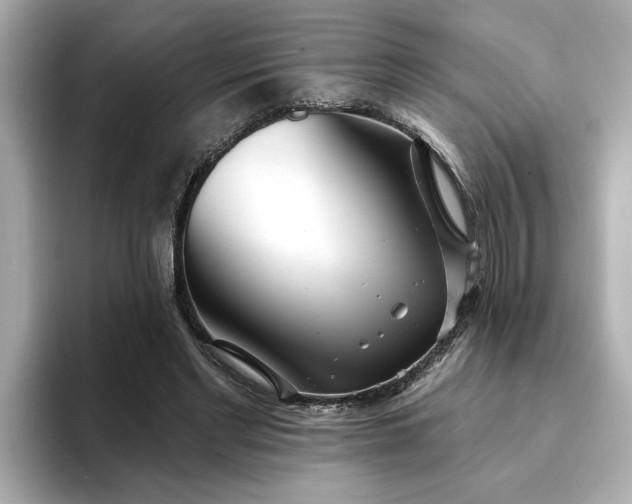 X0000095130493200712211333