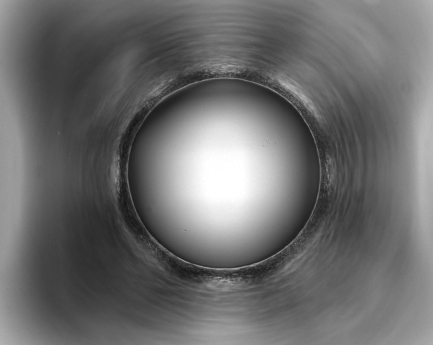 X0000095130494200712211333