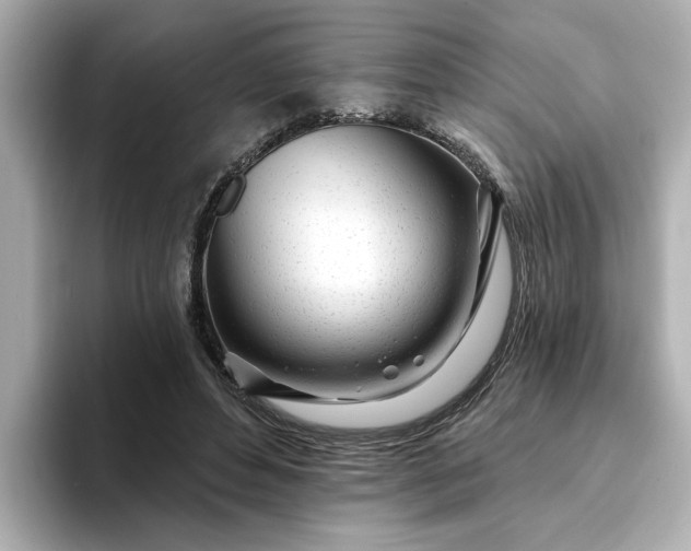 X0000095130496200712211333