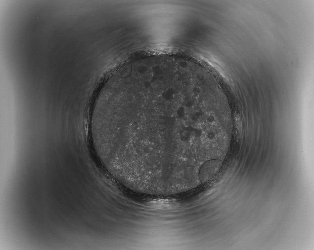 X0000095130499200712211333