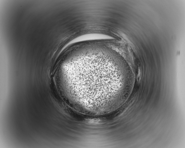 X0000095130500200712211333