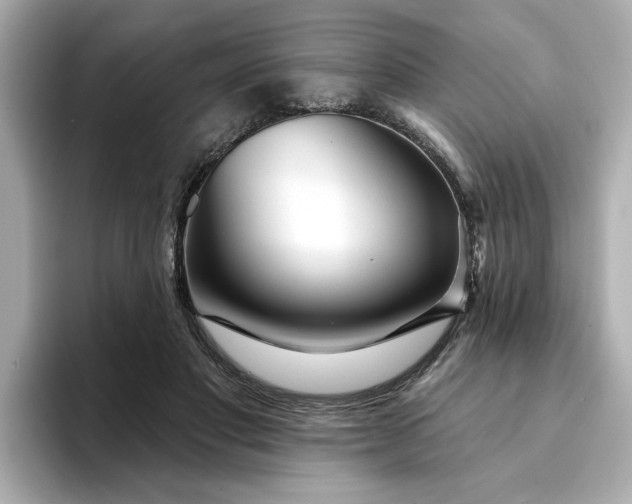 X0000095130501200712211333