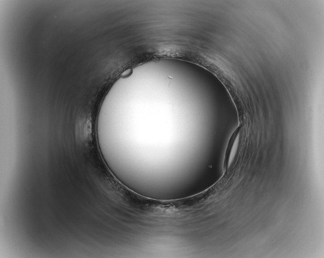 X0000095130502200712211333