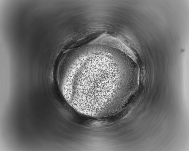 X0000095130504200712211332