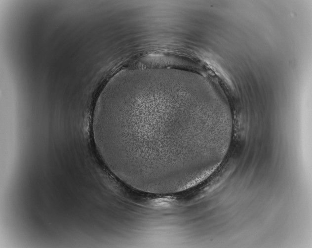 X0000095130505200712211332