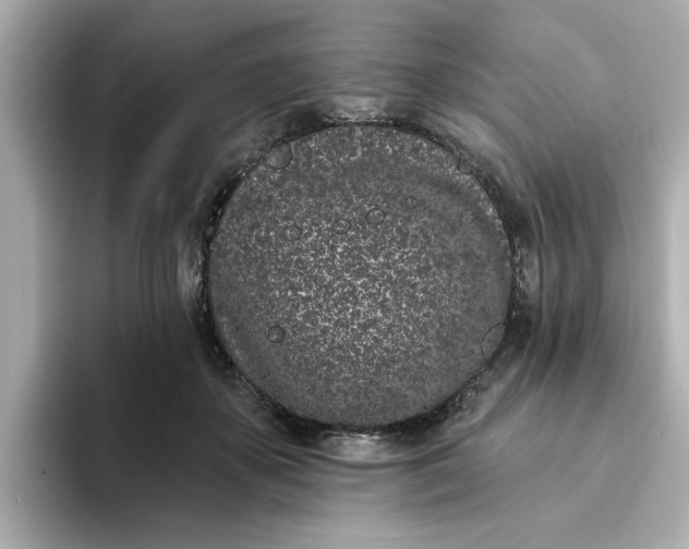 X0000095130507200712211332