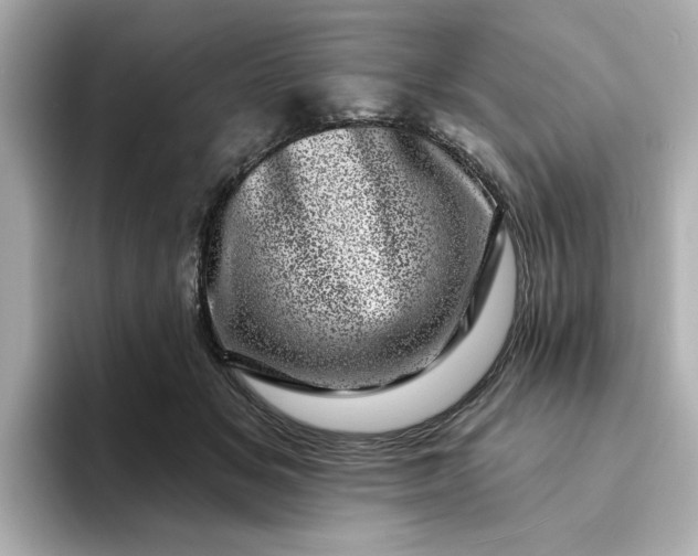 X0000095130509200712211332