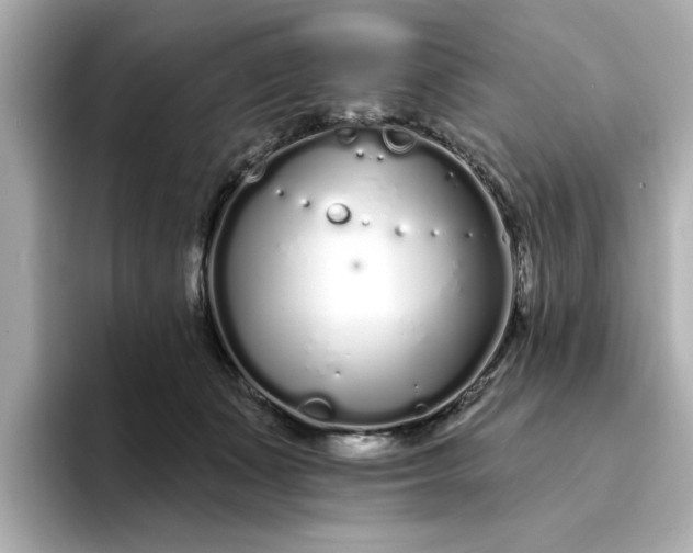 X0000095130511200712211332