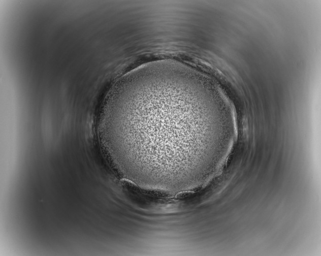 X0000095130514200712211332