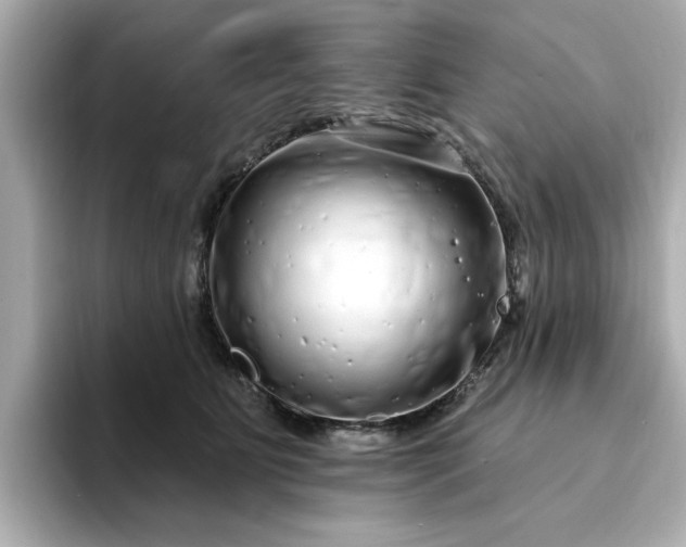 X0000095130515200712211332