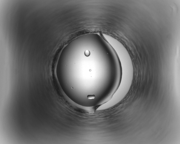 X0000095130516200712211332